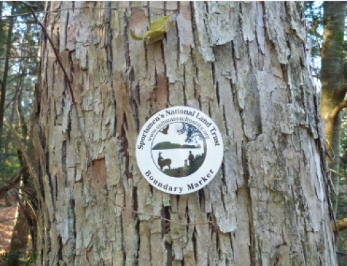 Habitat Project in Granville, MA