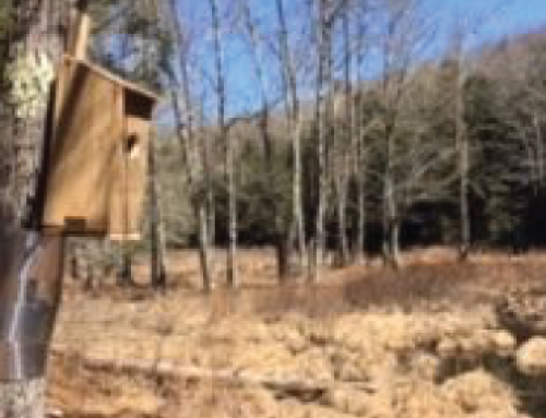 Good time for property improvements!